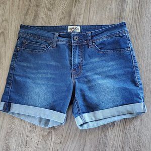 Denim Blvd Jean Shorts